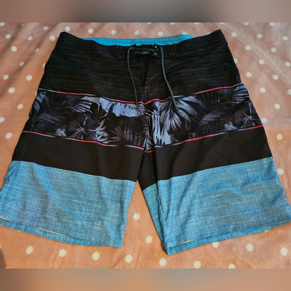 Mens Burnside Swim Shorts